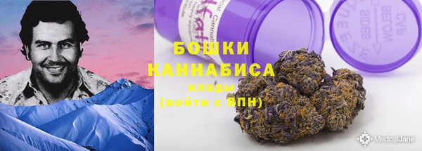 гидра Алексеевка