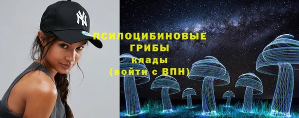 герыч Алексин