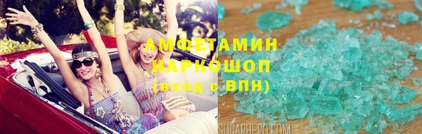 гидра Алексеевка