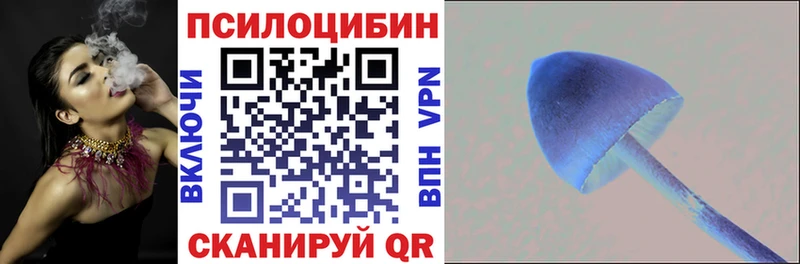 MEGA   Чаплыгин  Псилоцибиновые грибы прущие грибы 